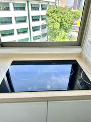 Mulberry Tree (D11), Apartment #452389901